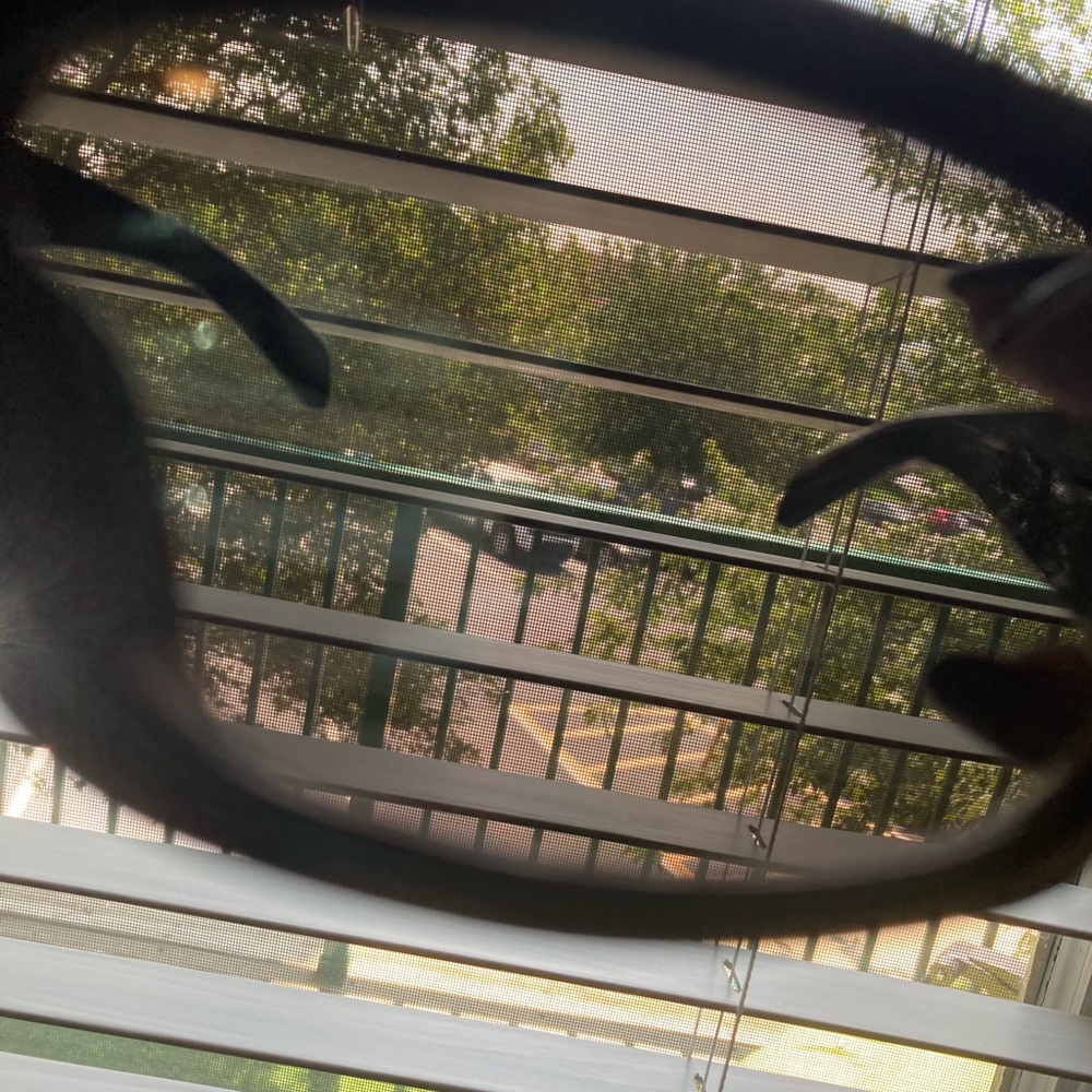 COPY black butterflies  Men's Sunglasses by Prada - Picture 7 of 11